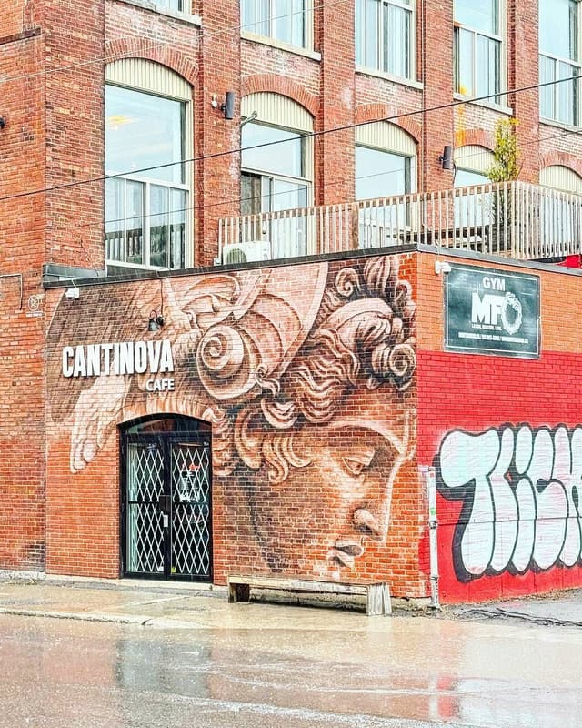 Café Cantinova